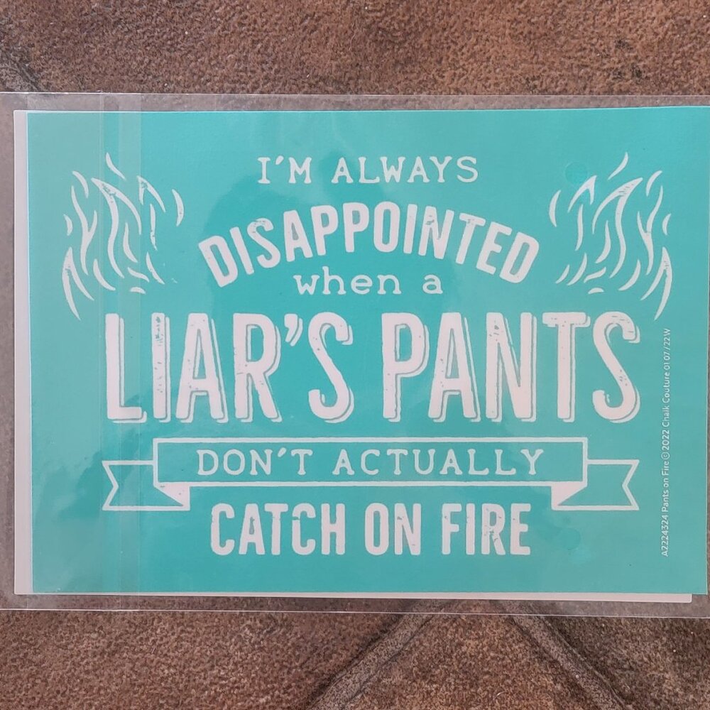 Pants on Fire,  5 x 7 ~ Reuseable Silk Screen Stencil